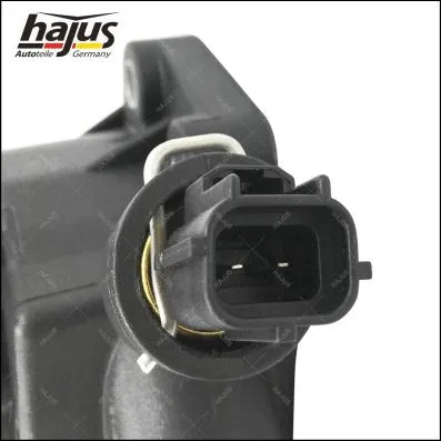 Thermostat, coolant (1211383)