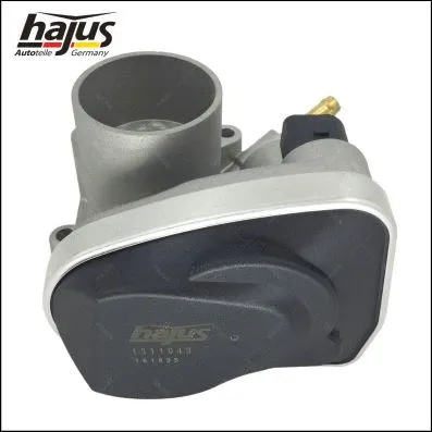 Throttle Body (1311043)