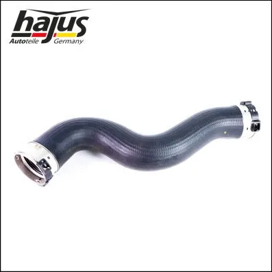 Charge Air Hose (1451134)