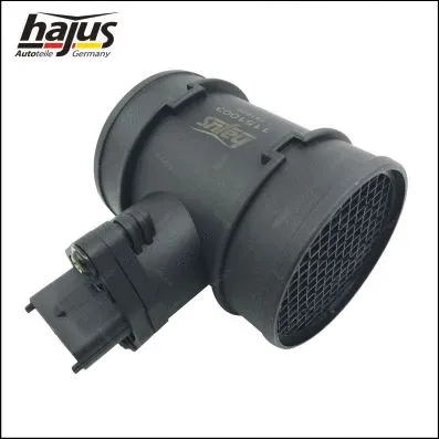 Mass Air Flow Sensor (1151003)