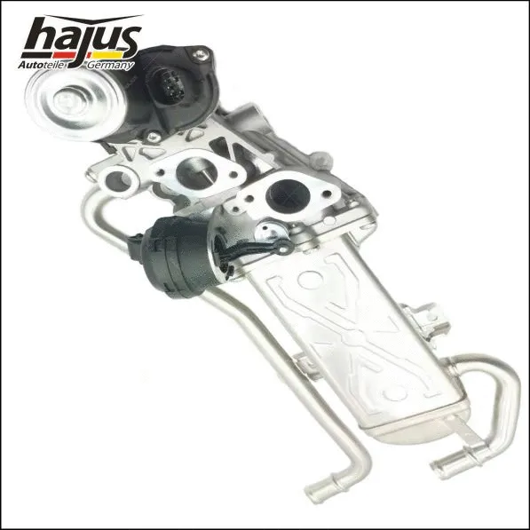 EGR Module
