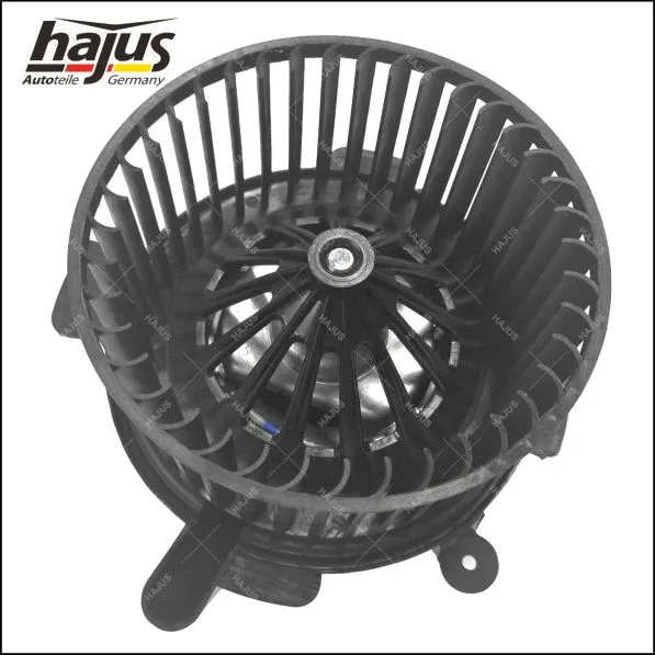 Interior Blower