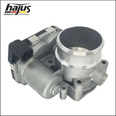 Throttle Body (1311055)