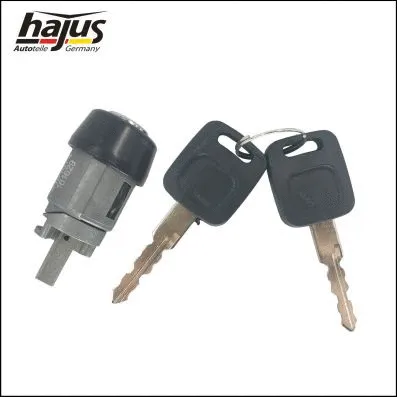 Lock Cylinder, ignition lock (9191074)