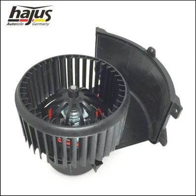 Interior Blower (8191017)