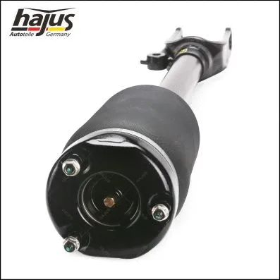 Air Suspension Strut