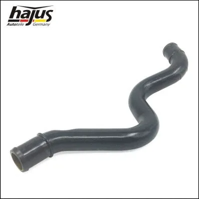 Hose, crankcase ventilation