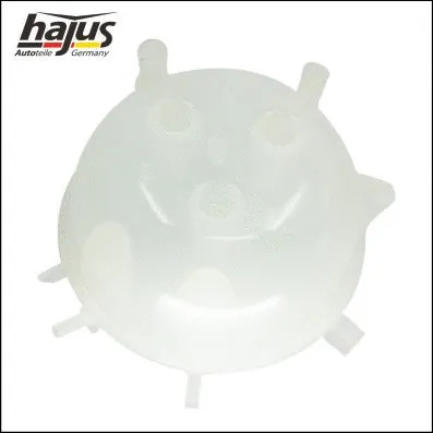 Expansion Tank, coolant