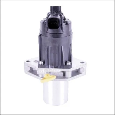 EGR Valve (OP980004)
