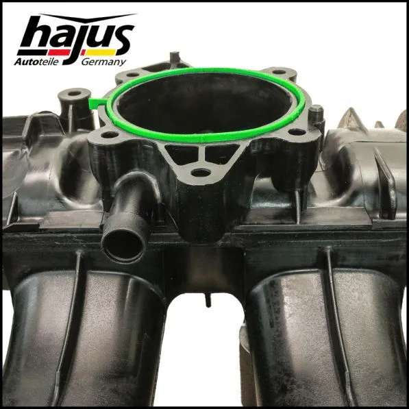 Intake Manifold Module