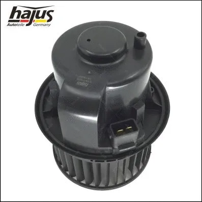 Interior Blower