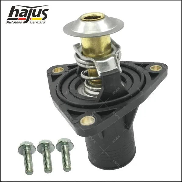 Thermostat, coolant (1211379)