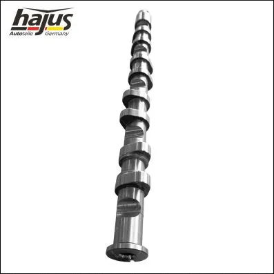 Camshaft (1091058)