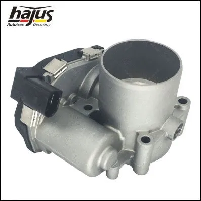 Throttle Body (1311052)