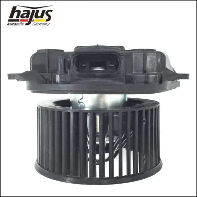 Interior Blower