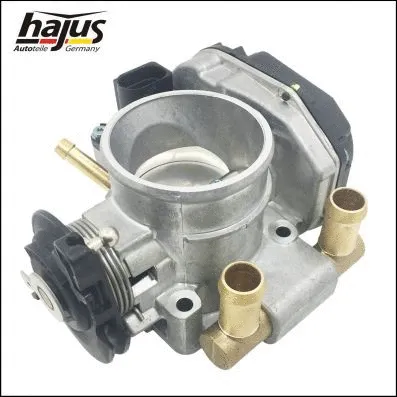 Throttle Body (1311083)