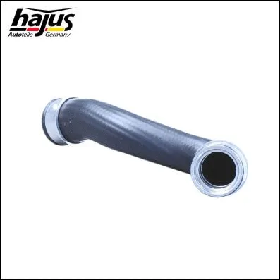 Charge Air Hose (1451087)