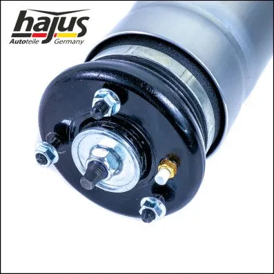 Air Suspension Strut