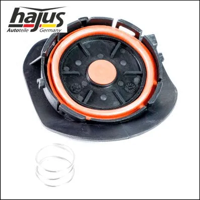 Valve, crankcase ventilation (1031020)