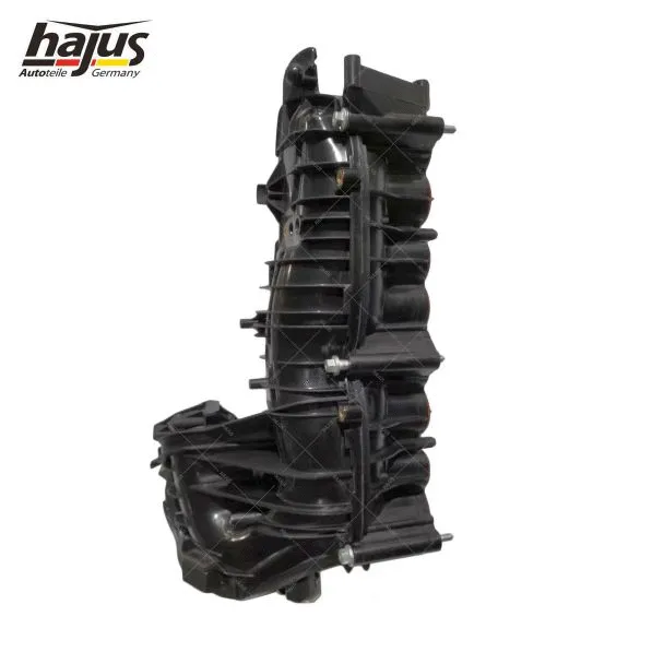 Intake Manifold Module