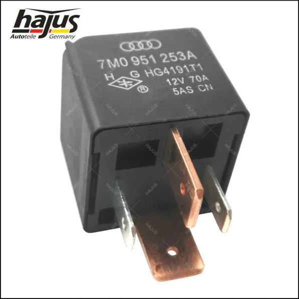 Multifunctional Relay (9191359)