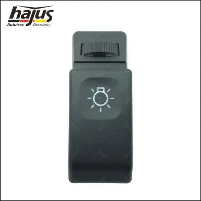 Switch, headlight (9191063)