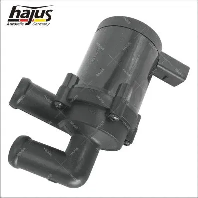 Auxiliary Water Pump (heating water circuit)