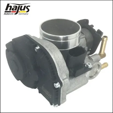 Throttle Body (1311068)