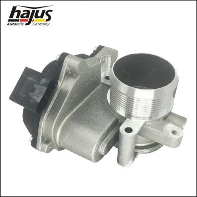 Throttle Body (1311048)