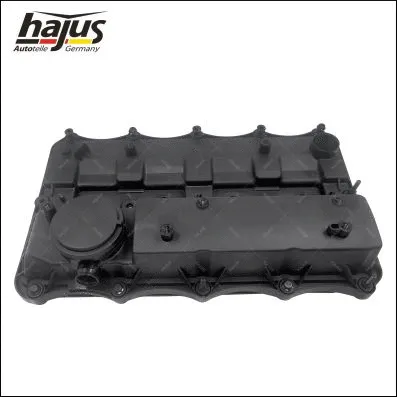 Cylinder Head Cover (1031039)