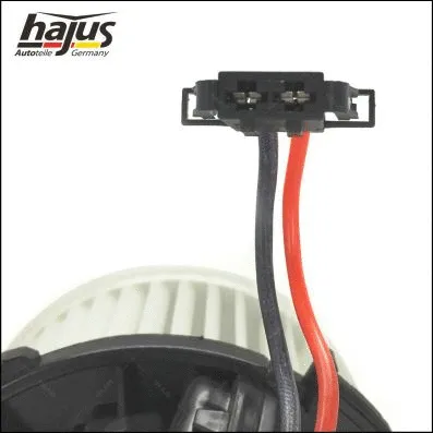 Interior Blower