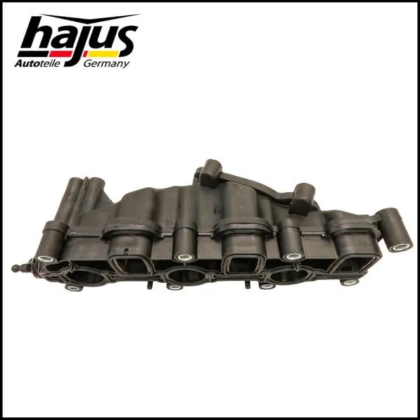 Intake Manifold Module