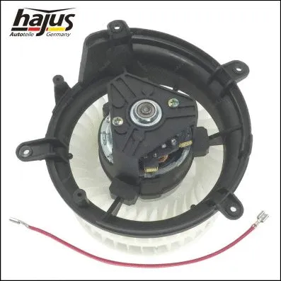 Interior Blower
