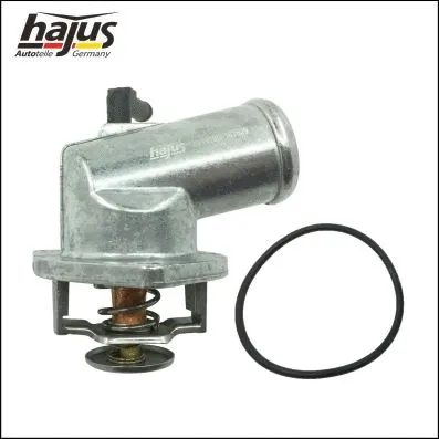 Thermostat, coolant (1211165)