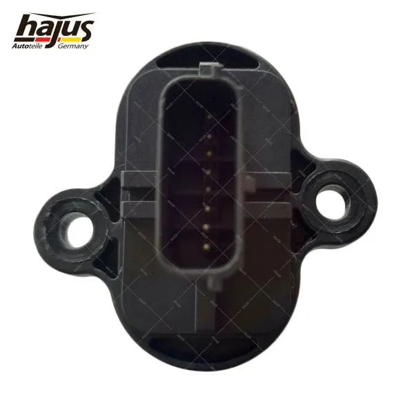 Mass Air Flow Sensor