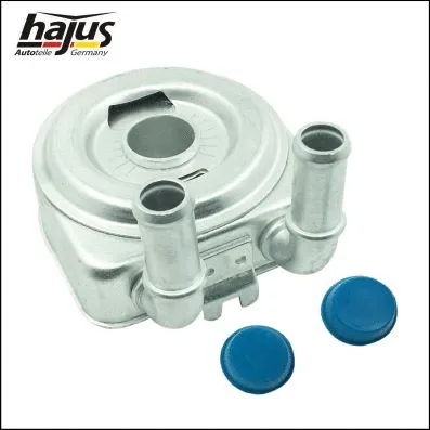 Oil Cooler, engine oil (1211118)