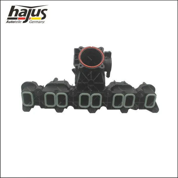 Intake Manifold Module (2511054)