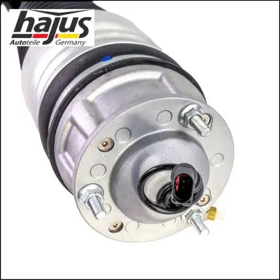 Air Suspension Strut