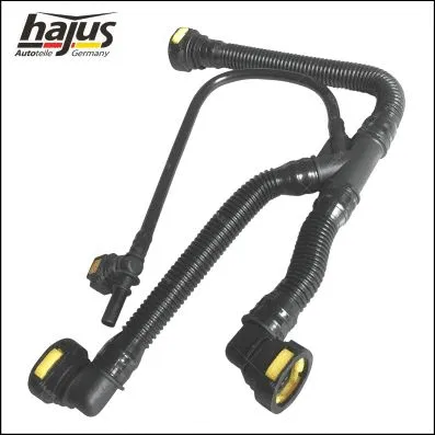 Hose, crankcase ventilation