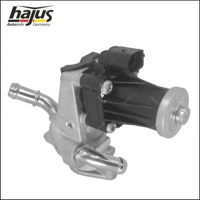 EGR Valve (1311106)