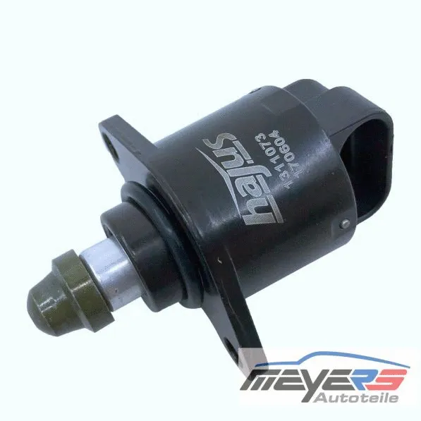 Idle Control Valve, air supply
