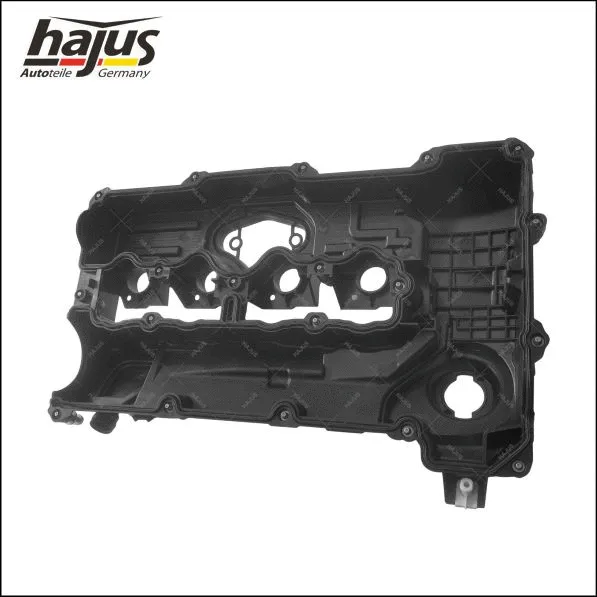 Cylinder Head Cover (1031048)