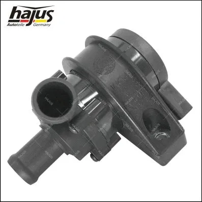 Auxiliary Water Pump (heating water circuit) (9191310)