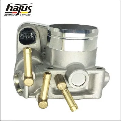 Throttle Body (1311016)