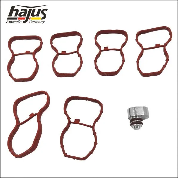 Gasket Set, intake manifold (2511049)