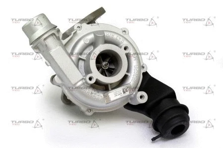 Charger, charging (supercharged/turbocharged) (TT0013)