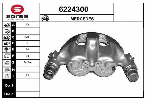 Brake Caliper (6224300)