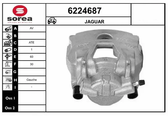 Brake Caliper (6224687)