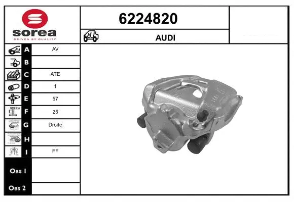 Brake Caliper (6224820)