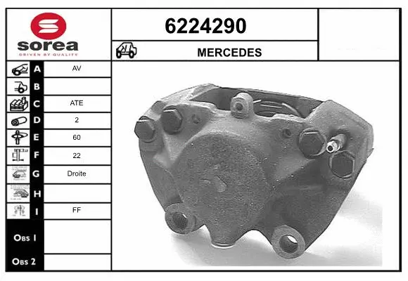 Brake Caliper (6224290)